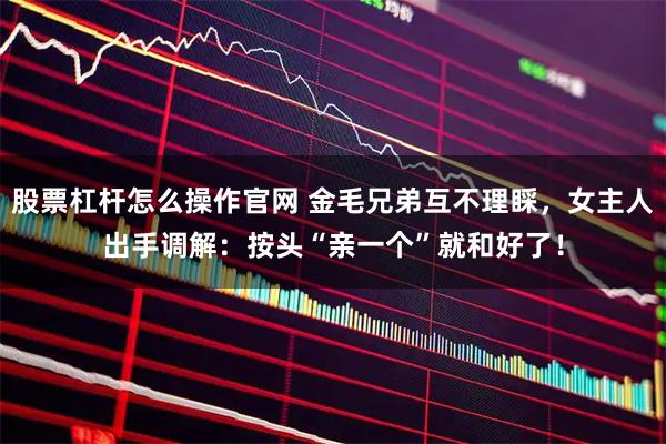 股票杠杆怎么操作官网 金毛兄弟互不理睬，女主人出手调解：按头“亲一个”就和好了！