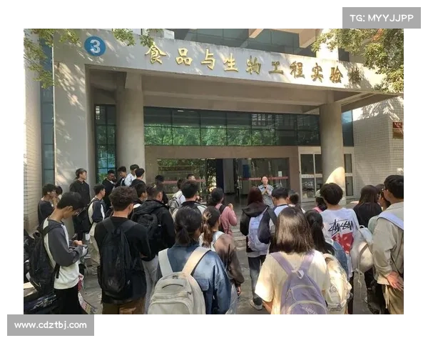 从实验室研究到工业应用:石中盐提取技术的全链条发展与前景探索 从实验室研究到工业应用:石中盐提取技术的全链条发展与前景探索