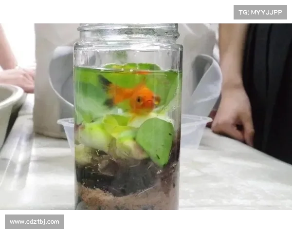 冰鳞蓝鱼的神秘魅力与深海生态保护探索之路 冰鳞蓝鱼的神秘魅力与深海生态保护探索之路