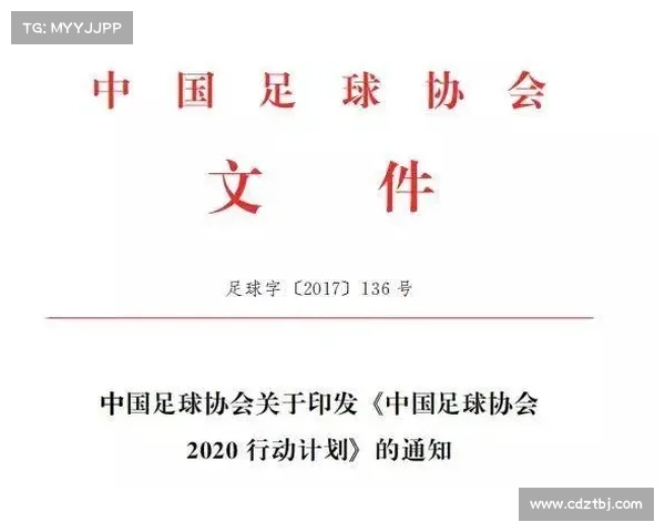 中国足球崛起之路：从基础建设到国际竞争力提升的战略规划
